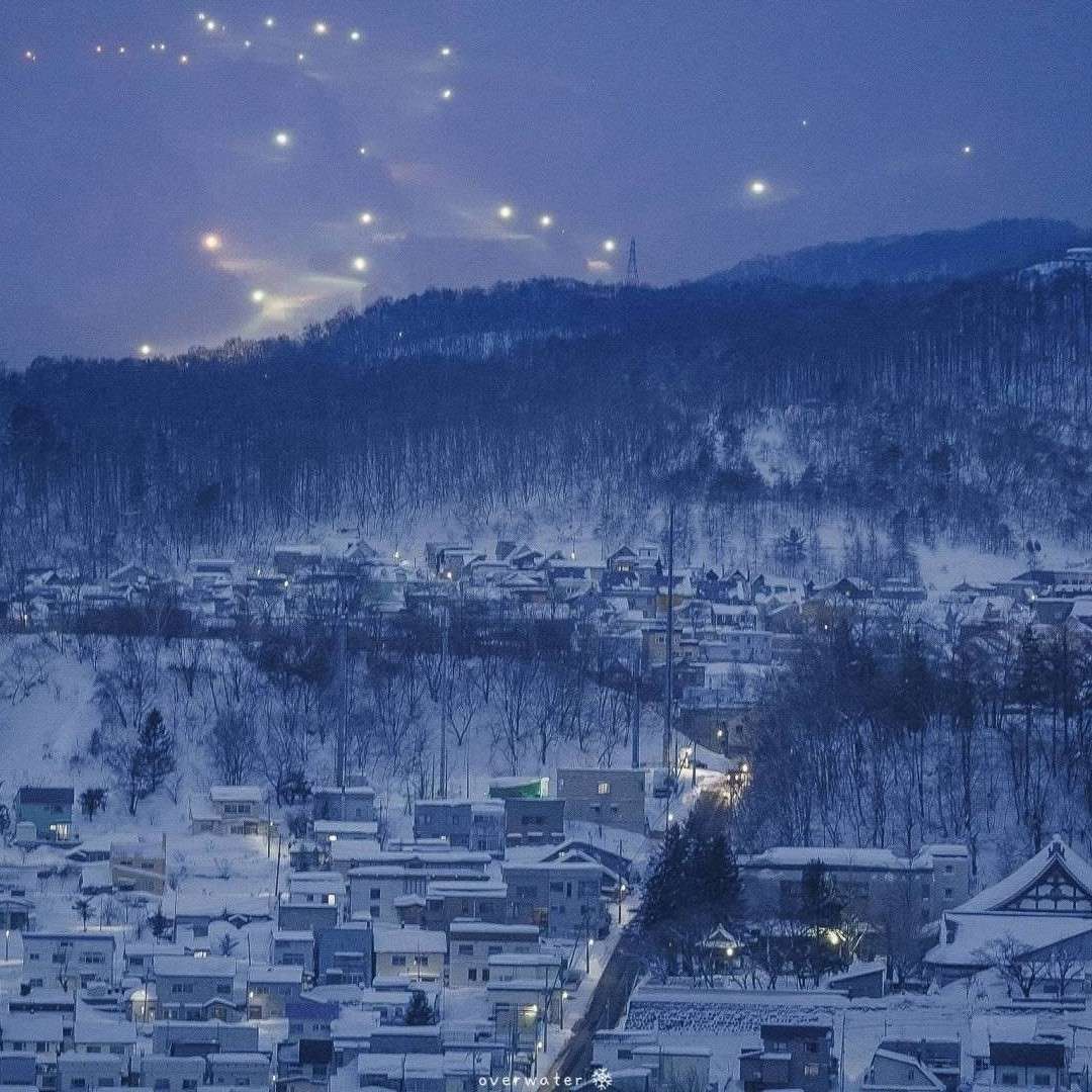 冬