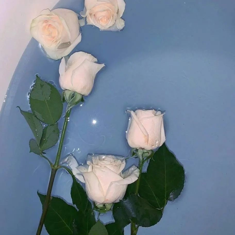。