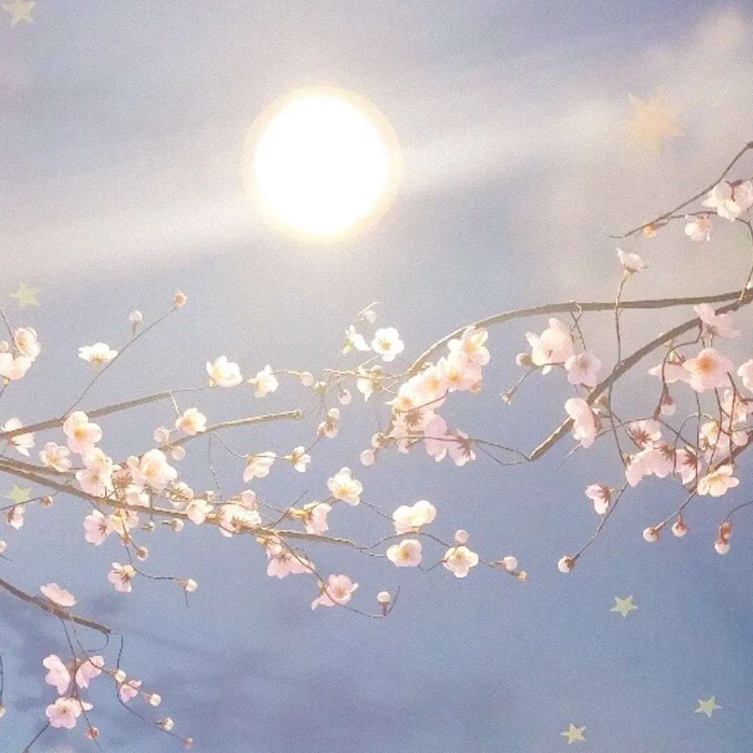 •ᴗ•