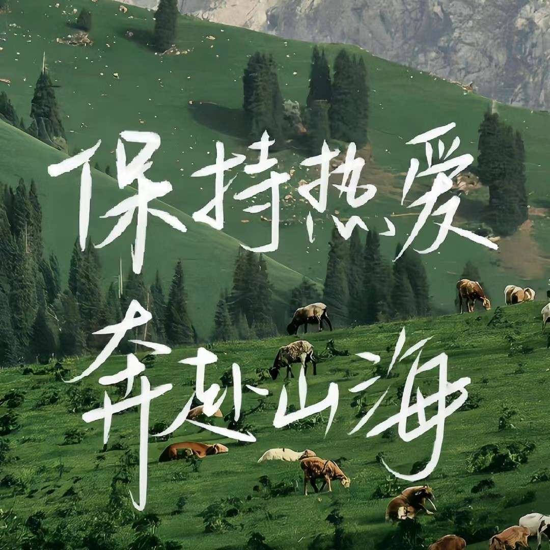 作文神句