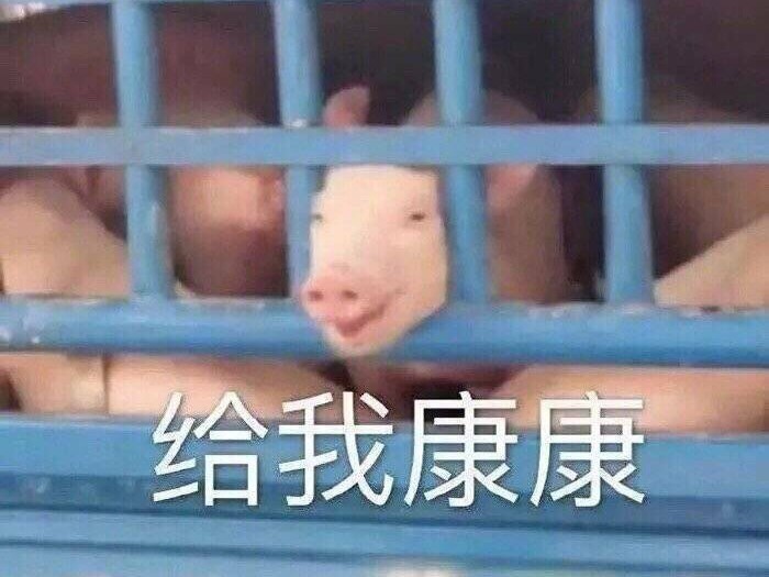 搜集追星🌈屁