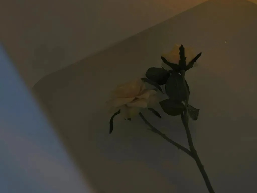 温柔的句子
