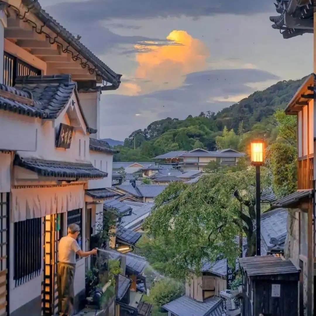 道理