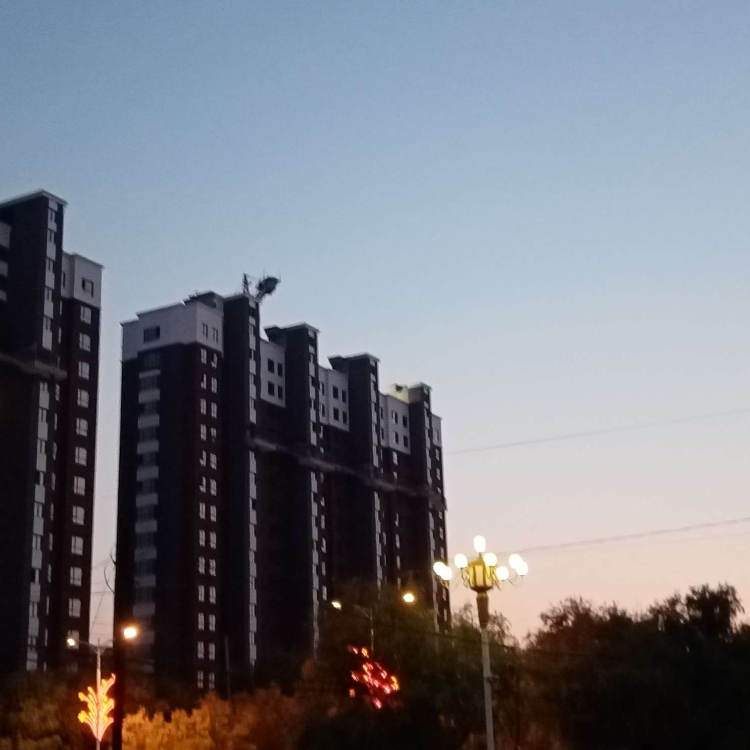 惊鸿一瞥是温柔