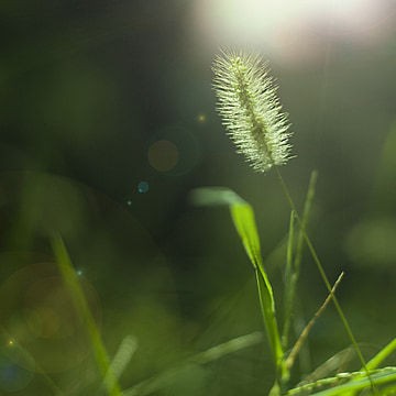 信念