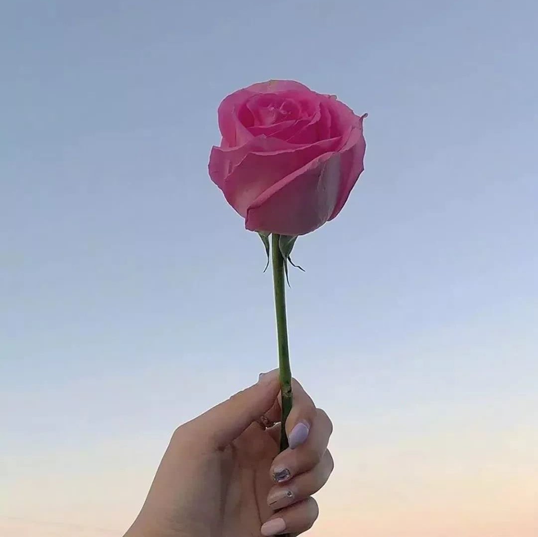 去了回的