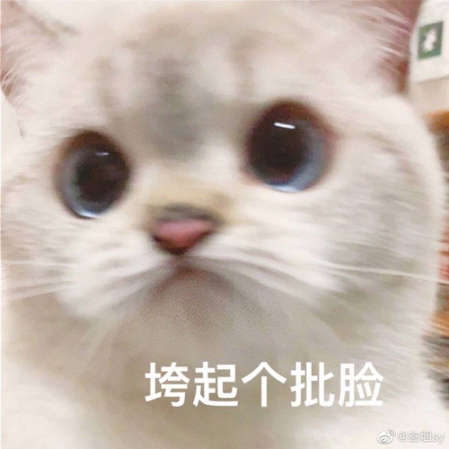 亲吖情吖