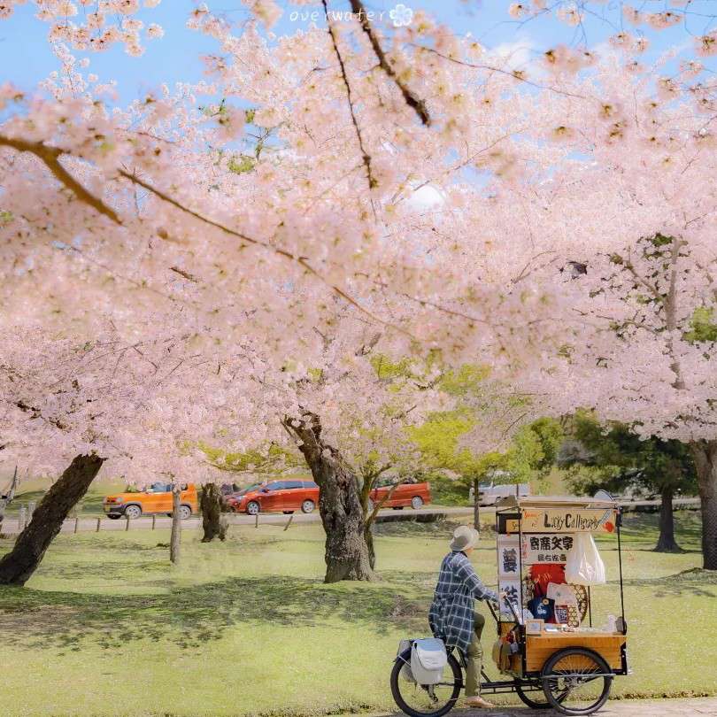 道理
