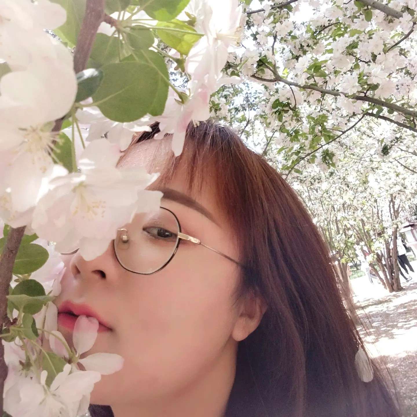 你的花仙子