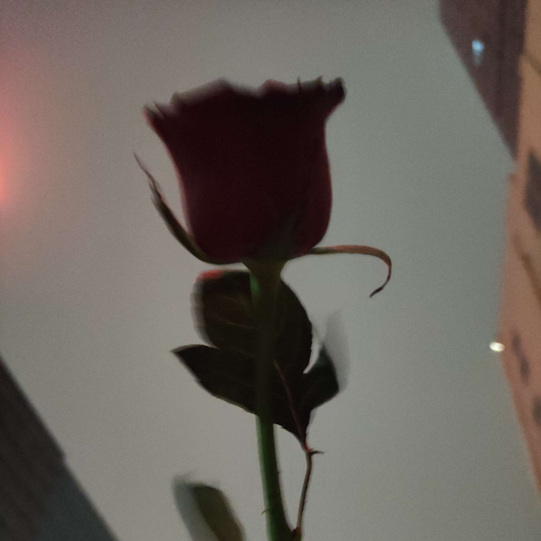 和窗有关的文案
