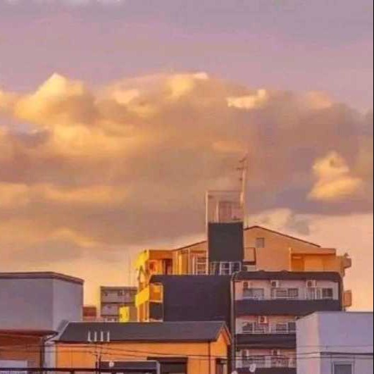 总裁在上