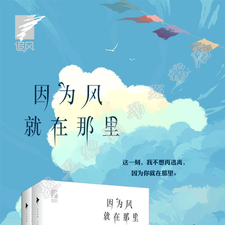 因为风就在那里