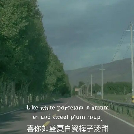 盐柠的专辑