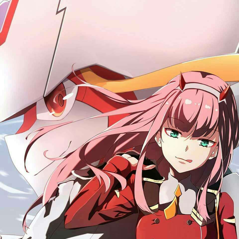 DARLING   in  the  FRANXX.