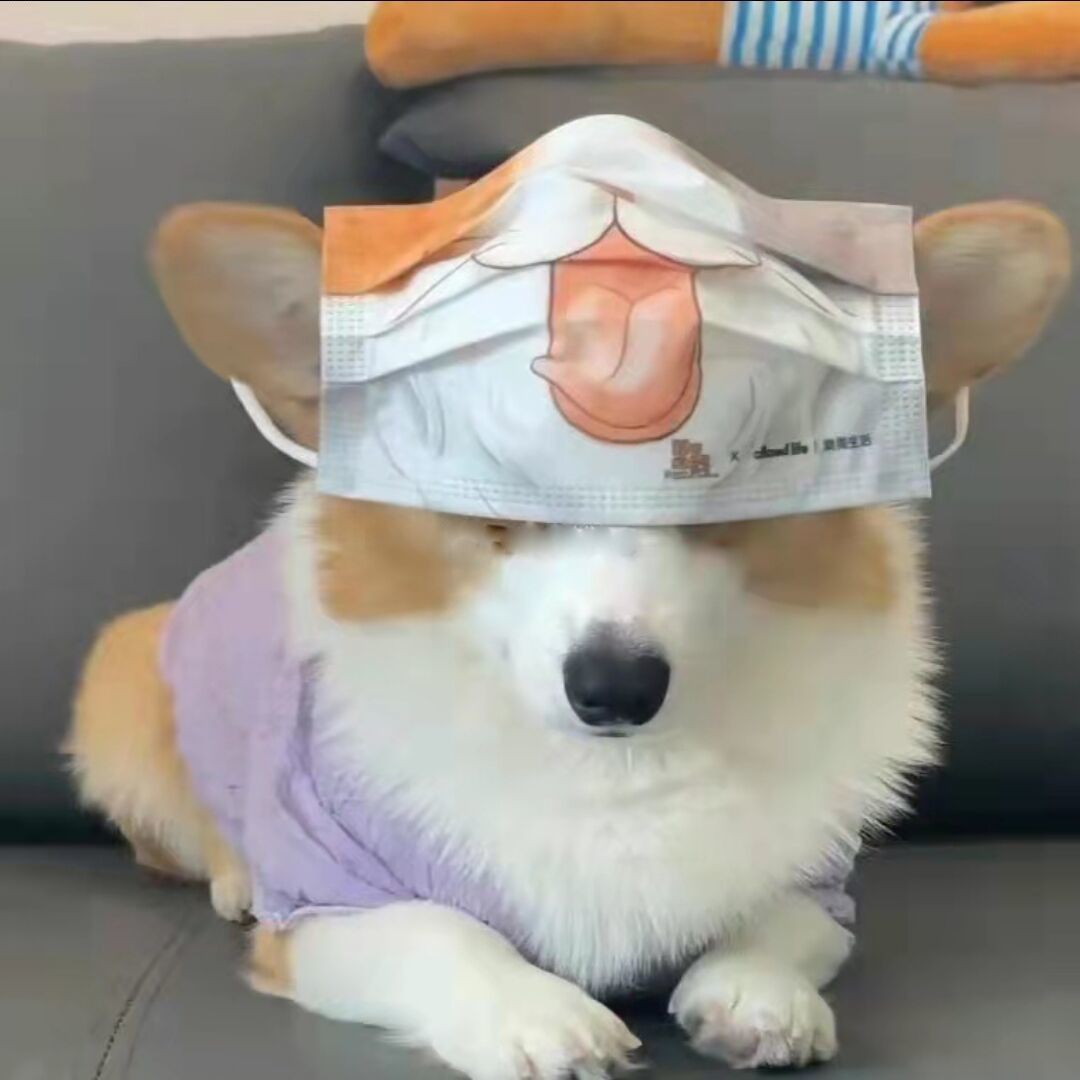 歌词