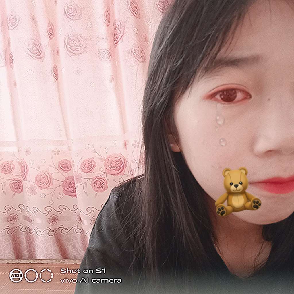 关于我.