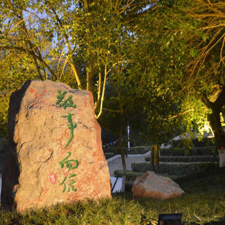 《甜不辣的随笔录》