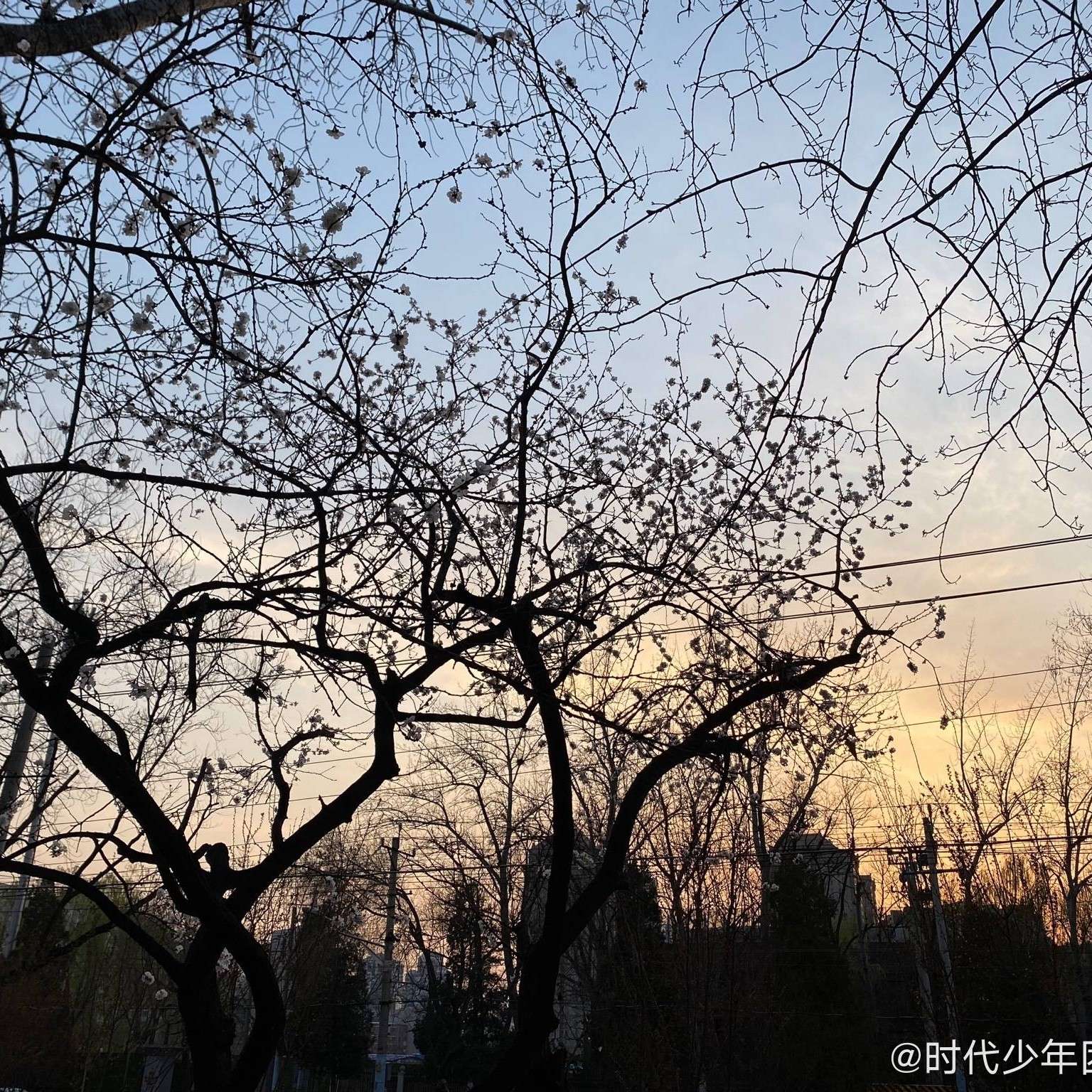 NINI'的专辑