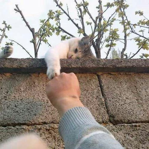 单纯与美好