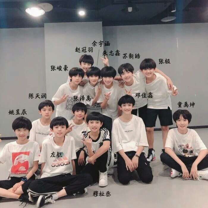 TF家族三代