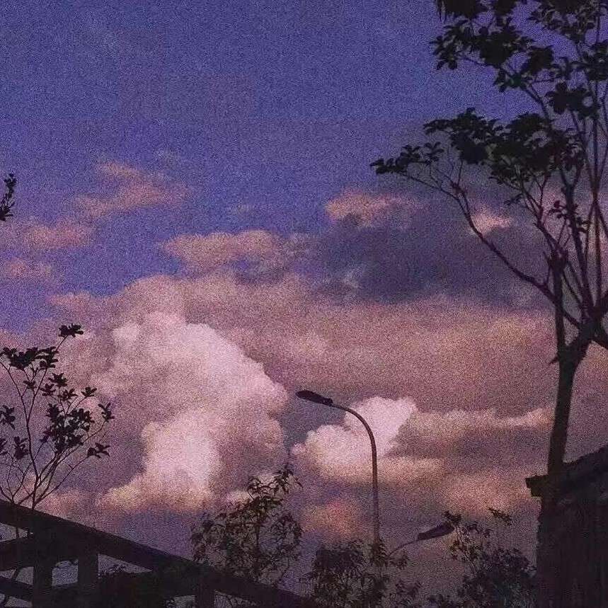 愿世间美好，终能得所归属