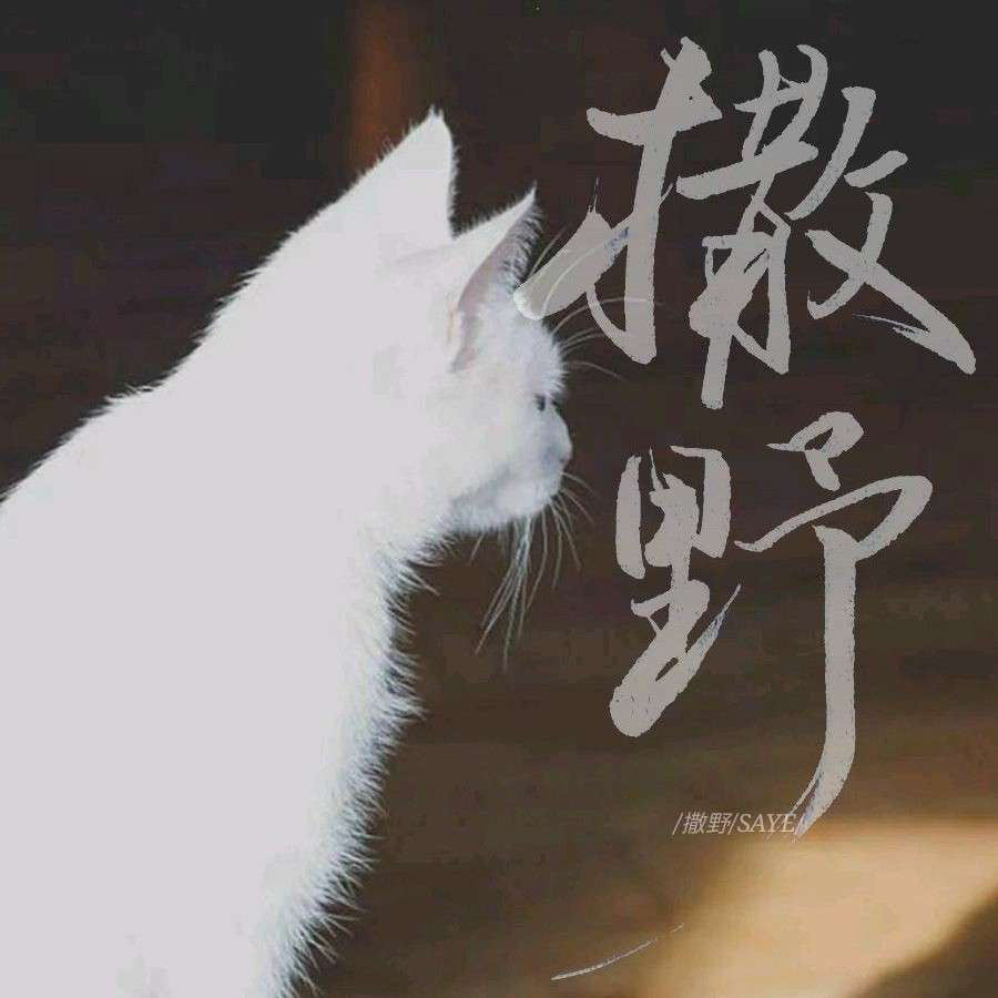 救赎
