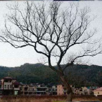 @鬼熙的专辑