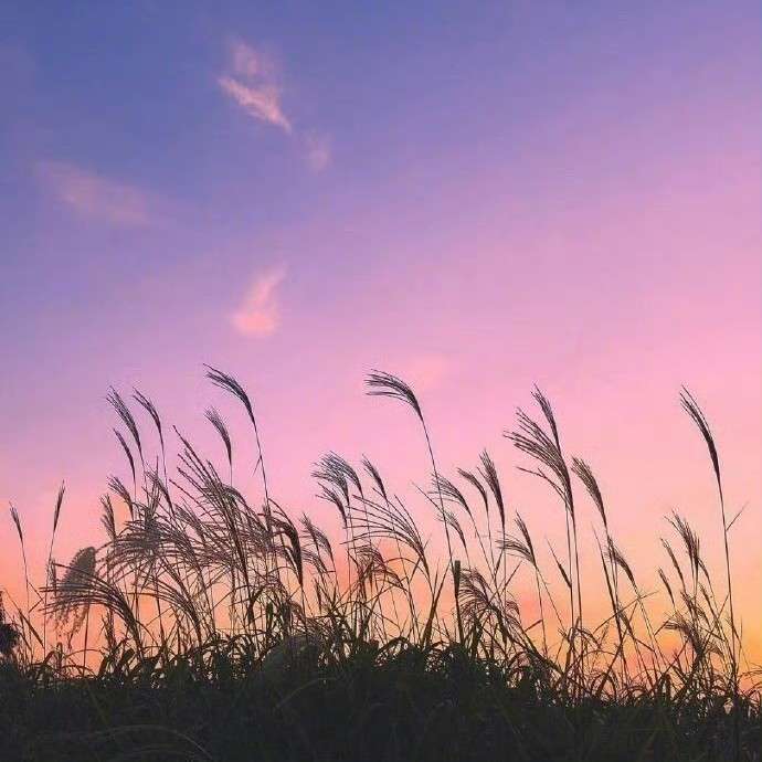 我的专辑