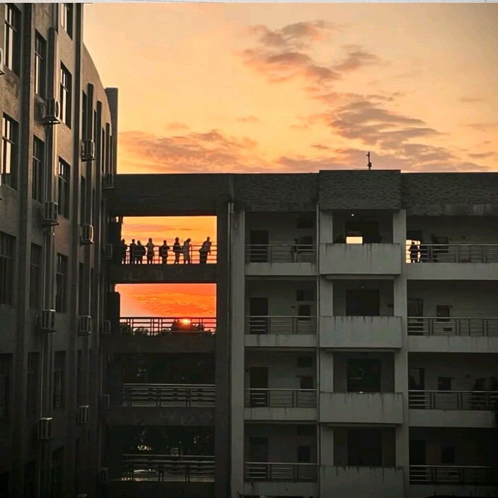 耽句收录