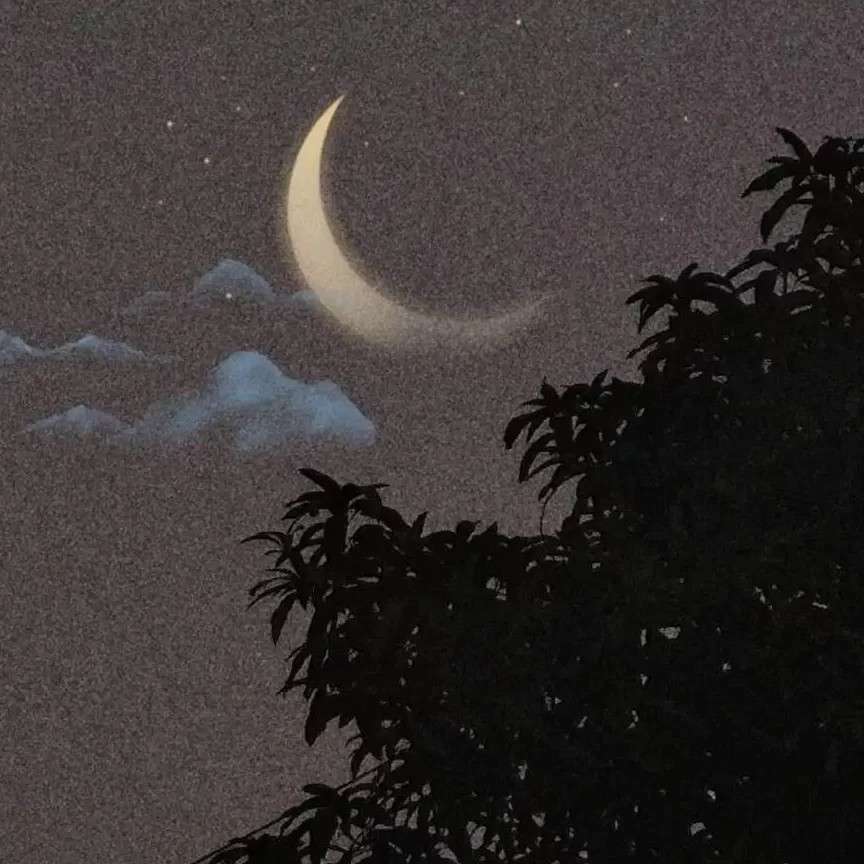 随机