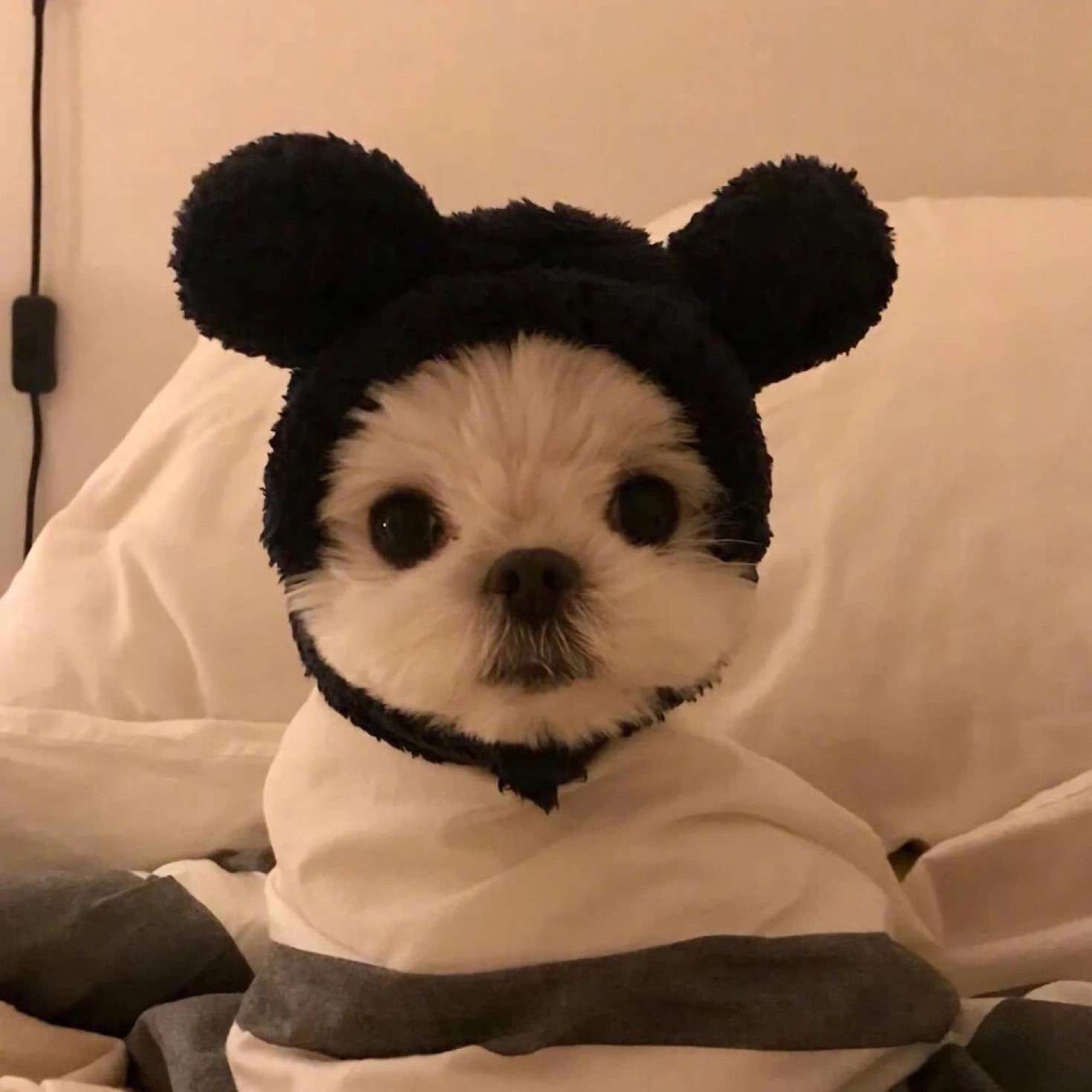 偶尔治愈