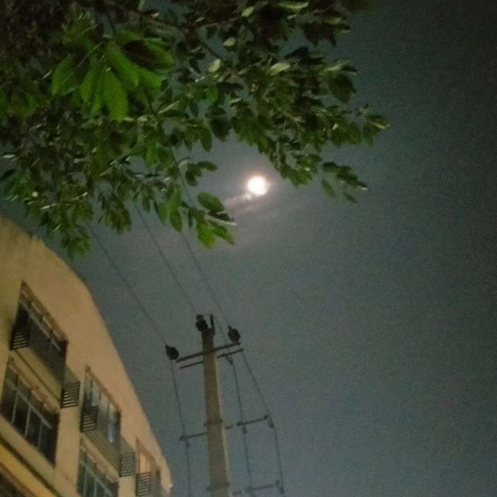 《乌合之众》