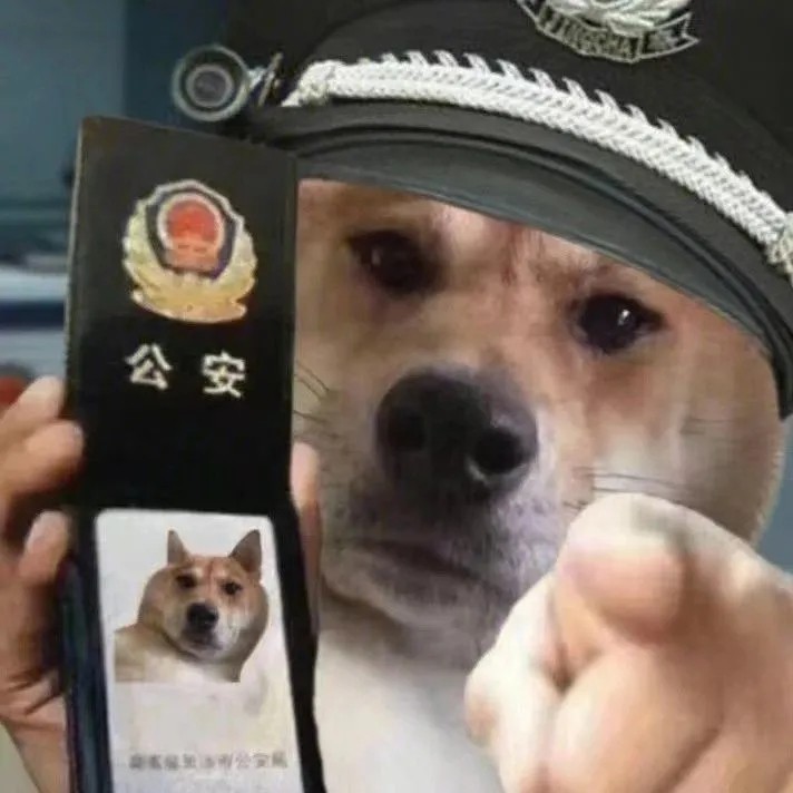 沙雕本雕