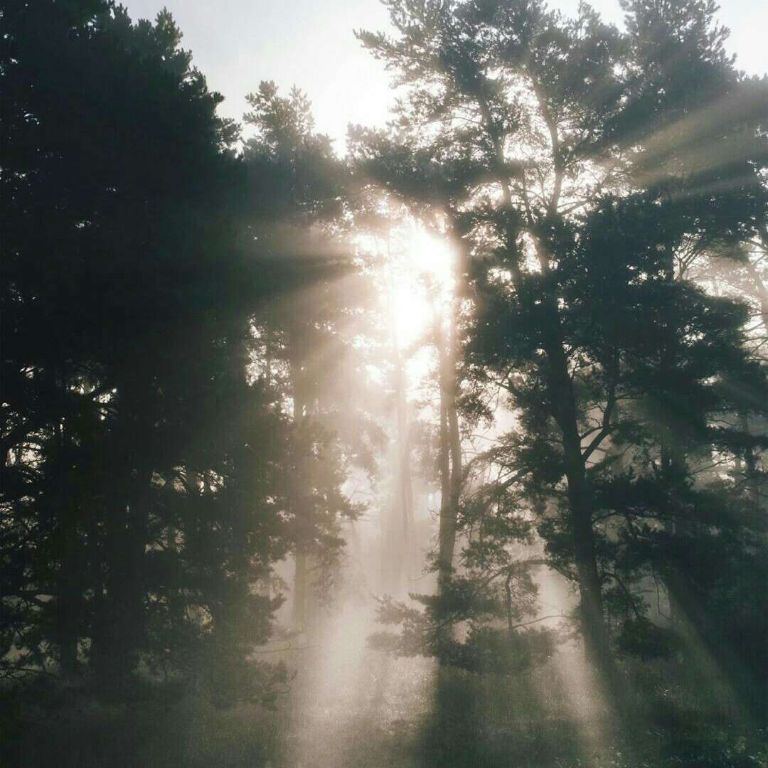 人生路☀