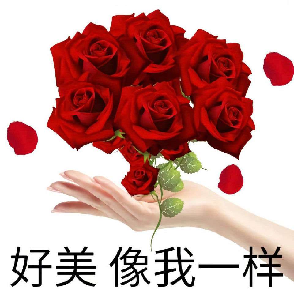 发疯文学