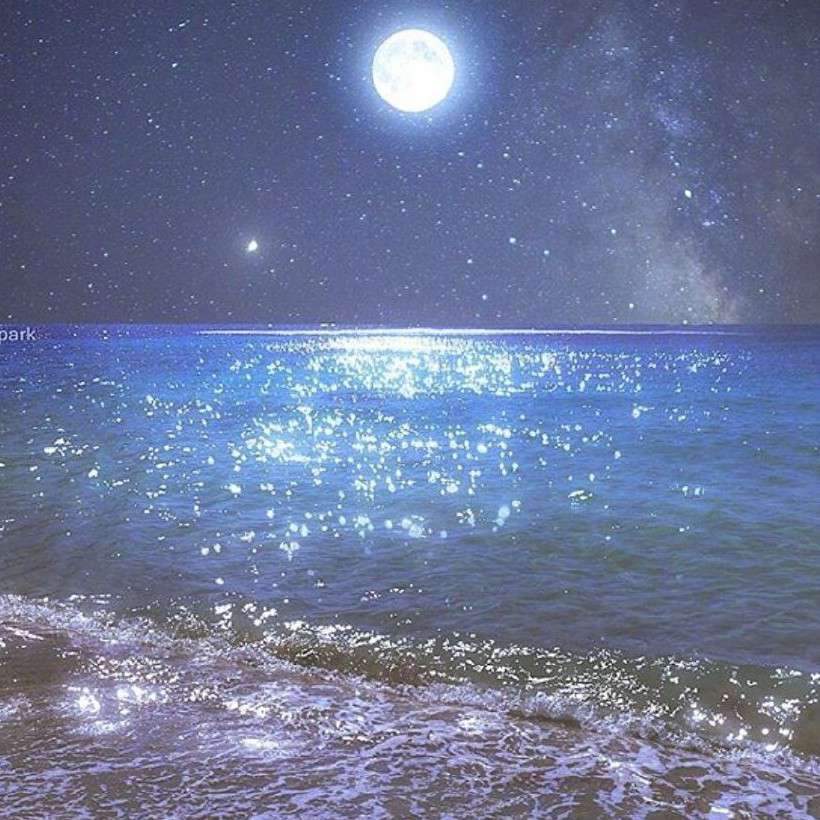 满天星