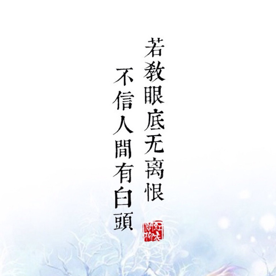 不信人间有白头