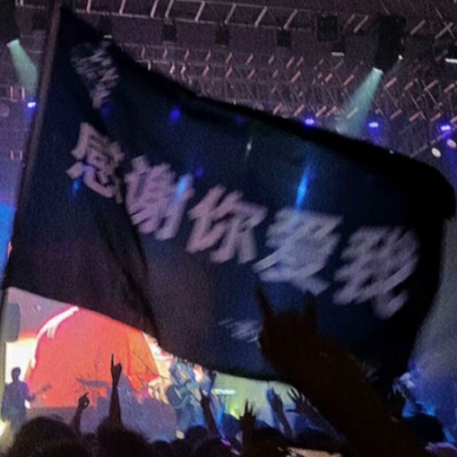 词不达意