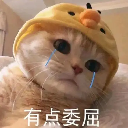随笔