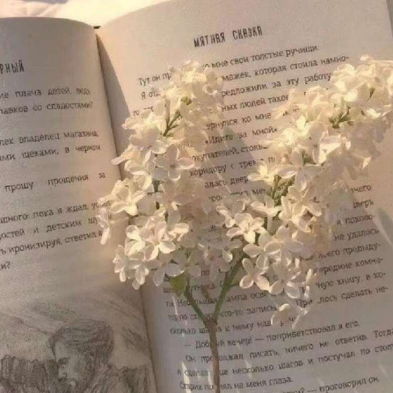 落落的治愈小馆