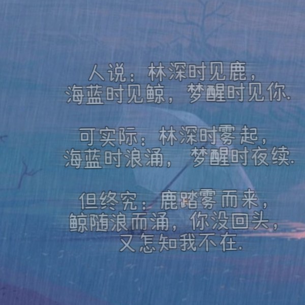 言情小说经典语录