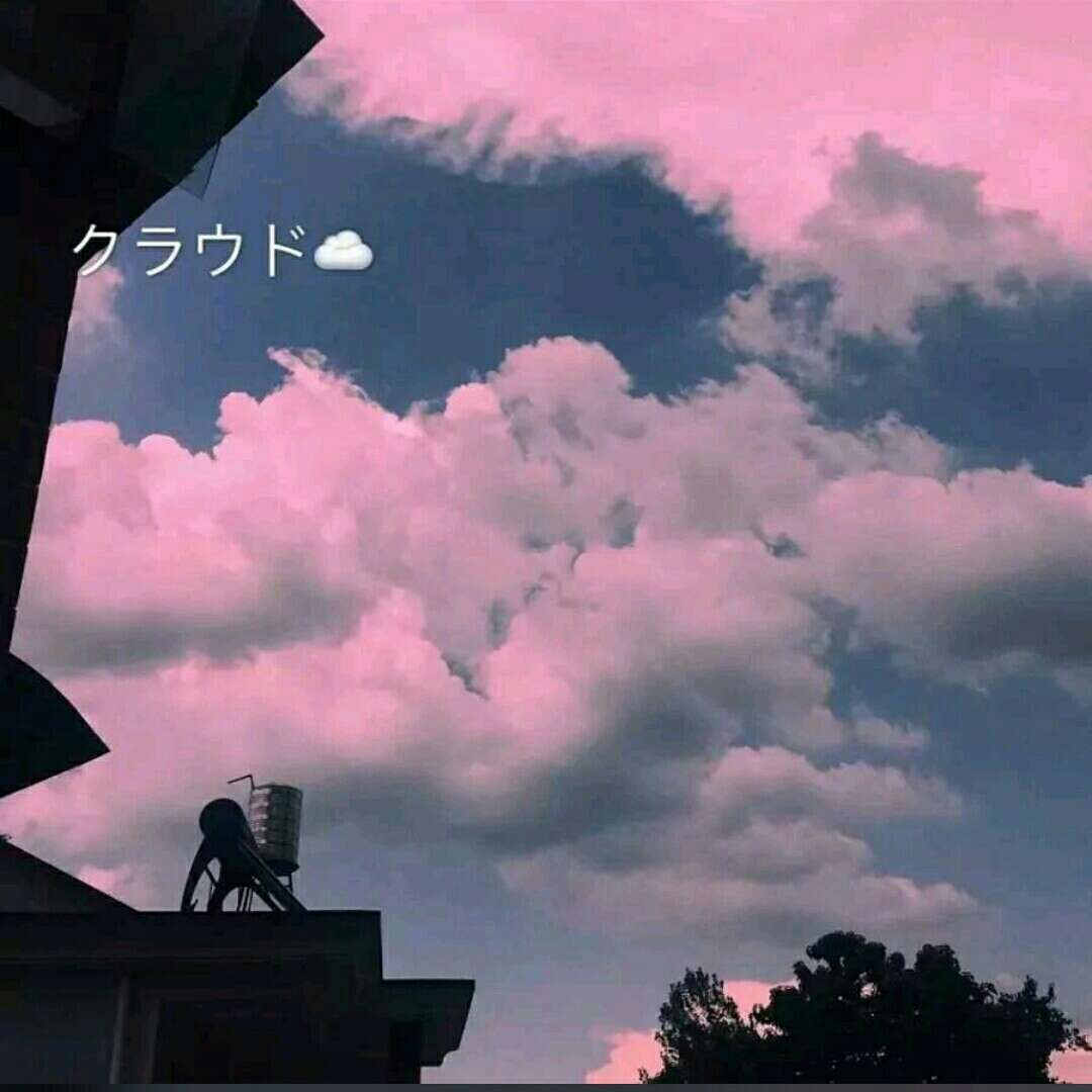 歌词摘抄