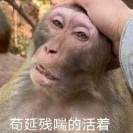 果果.