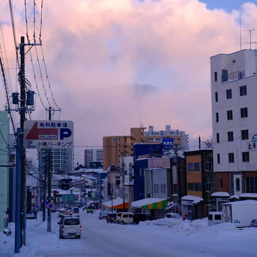 梗