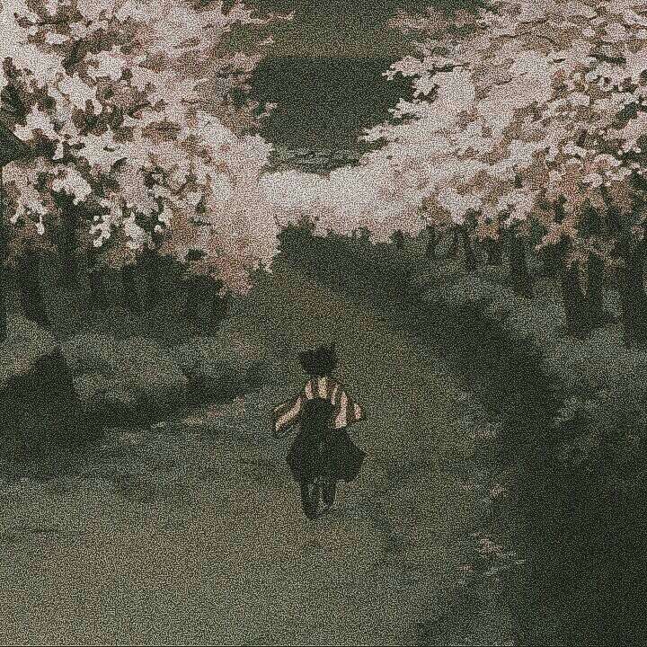 我的摘抄