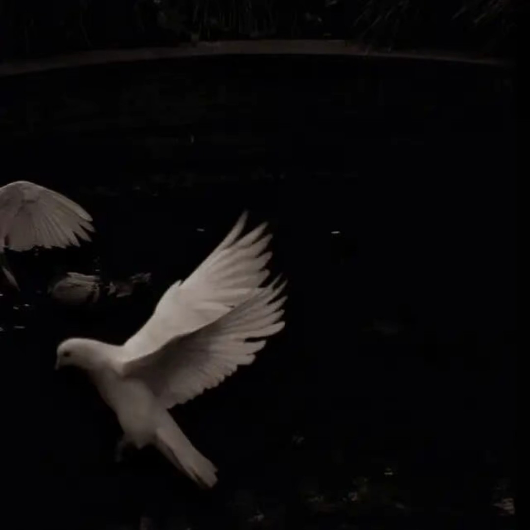 情绪馆