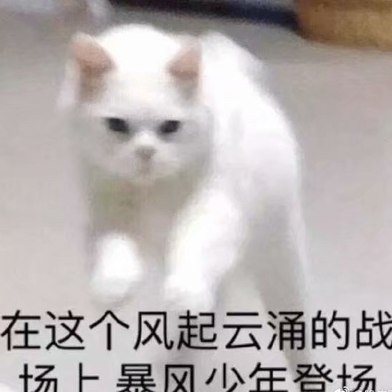 耽美