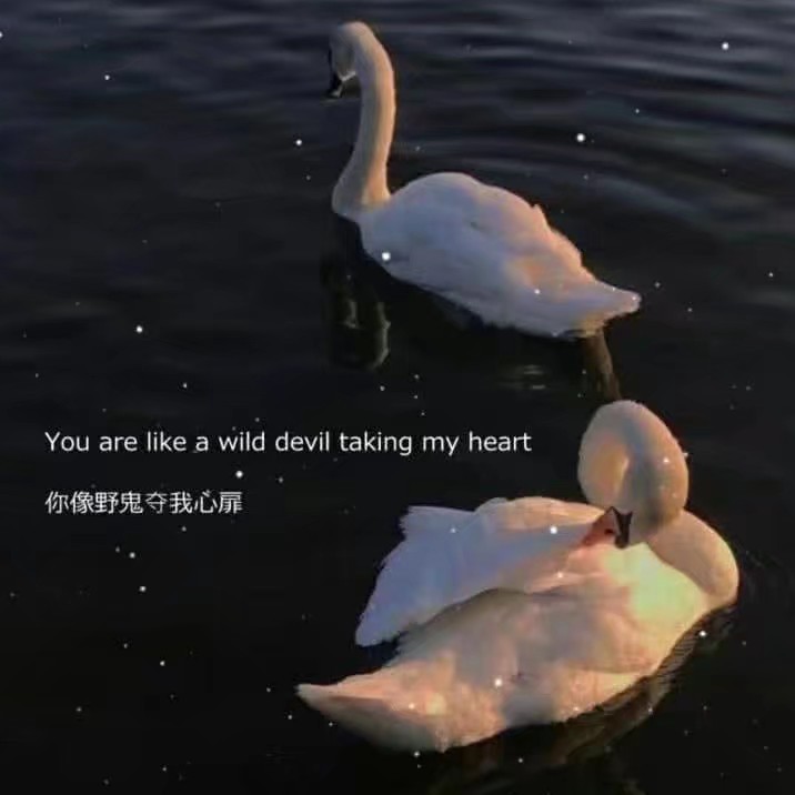 心灵·治愈