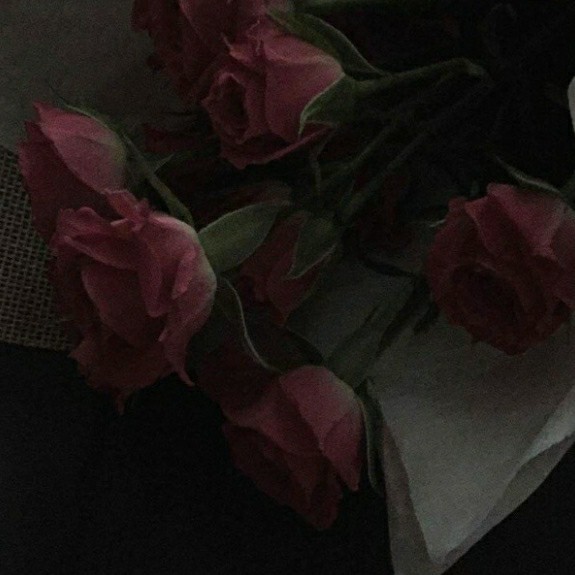 杂句