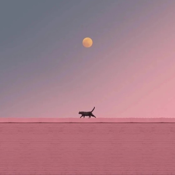 句子
